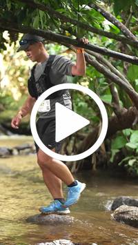 BIB:  <button type="button" onclick="openModal(27563885)" class="btn btn-primary btn-sm float-right" data-toggle="modal" data-target=".modal-high-quality">
                <i class="fa fa-download"></i> Download
                </button>